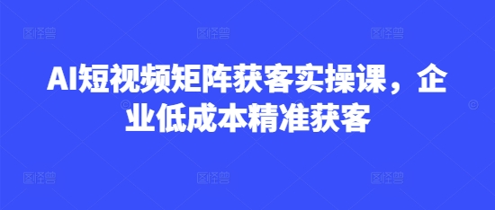 AI短视频矩阵获客实操课，企业低成本精准获客-清风