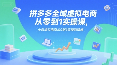 拼多多全域虚拟电商从零到1实操课，小白虚拟电商从0到1实操到精通-清风
