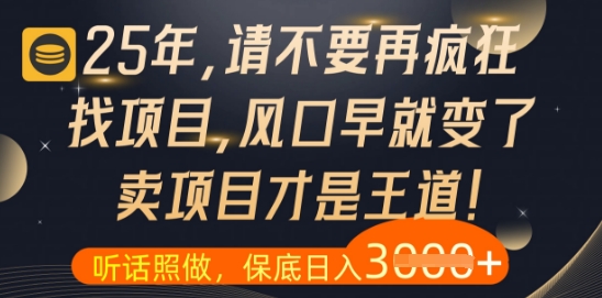 什么？25年你还在疯狂找项目做，醒醒吧，看完这些你全都懂了【揭秘】-清风