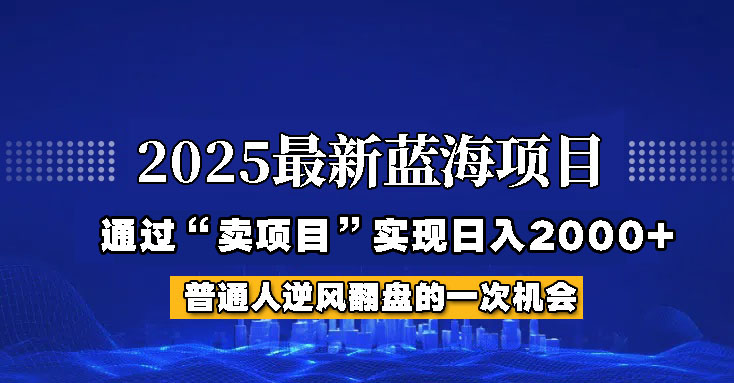 2025年蓝海项目，如何通过“网创项目”日入2000+-清风
