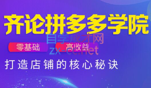齐论拼多多vip课程-清风