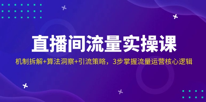 直播间流量实操课：机制拆解+算法洞察+引流策略，3步掌握流量运营核心逻辑-清风