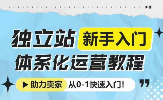 独立站新手入门体系化运营教程，助力独立站卖家从0-1快速入门!-清风