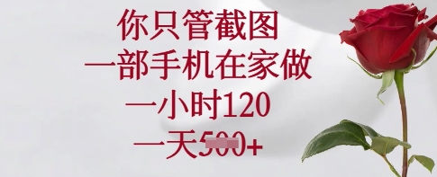 你只管截图，一部手机在家做，一小时120.一天5张【揭秘】-清风
