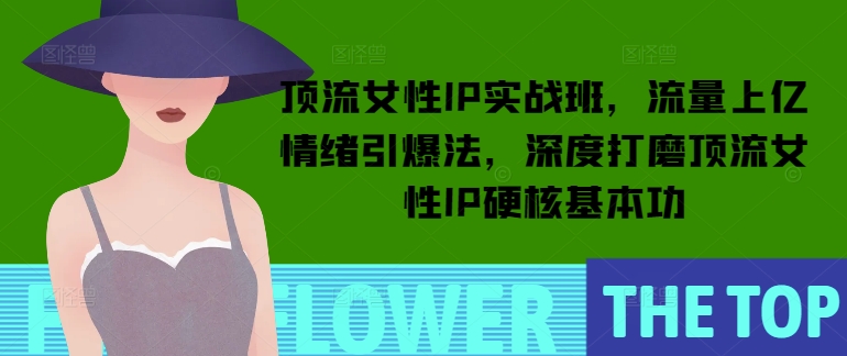 顶流女性IP实战班，流量上亿情绪引爆法，深度打磨顶流女性IP硬核基本功-清风