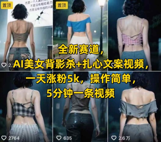 全新赛道，AI美女背影杀+扎心文案视频，一天涨粉5k，操作简单，5分钟一条视频-清风