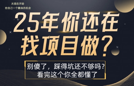 25年，你还在疯狂的找项目吗？别傻了，看完这个你都懂了【揭秘】-清风