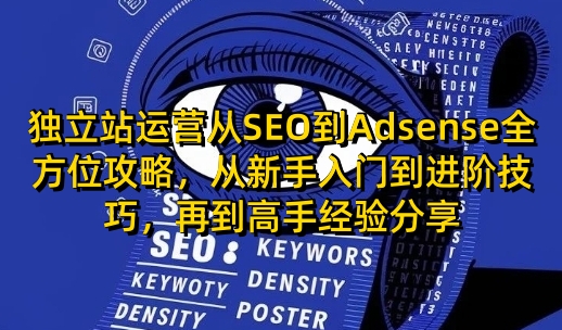独立站运营从SEO到Adsense全方位攻略，从新手入门到进阶技巧，再到高手经验分享-清风