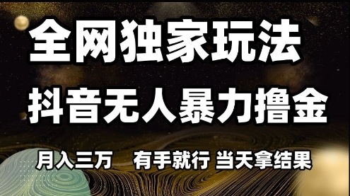 全网独家玩法抖音无人暴力撸金，月入3W，有手就行，当天拿结果【揭秘】-清风