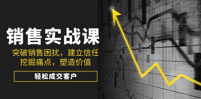 销售实战课，突破销售困扰，建立信任，挖掘痛点，塑造价值，轻松成交客户-清风