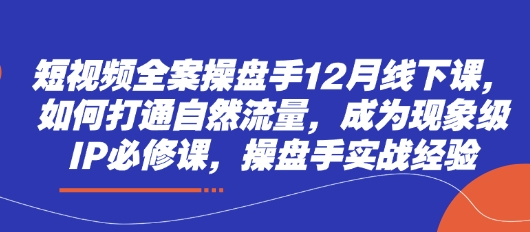 短视频全案操盘手12月线下课，如何打通自然流量，成为现象级IP必修课，操盘手实战经验-清风