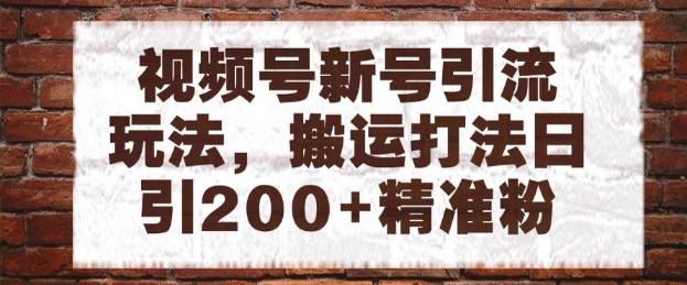 视频号新号引流玩法，搬运打法日引200+精准粉，可矩阵放大【揭秘】-清风