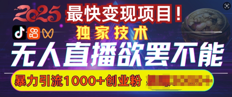 欲罢不能的无人直播引流，超暴力日引流1000+高质量精准创业粉-清风