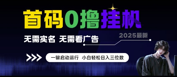 首码0撸挂G项目，无需实名无需看广告 一键启动运行，小白轻松日入三位数【揭秘】-清风