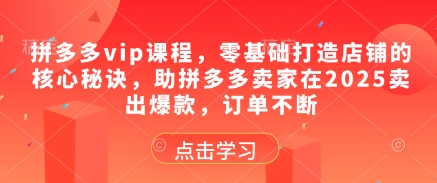 拼多多vip课程，零基础打造店铺的核心秘诀，助拼多多卖家在2025卖出爆款，订单不断-清风