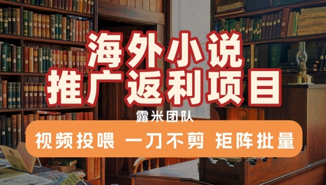 海外小说推广返利项目，视频投喂， 一刀不剪，矩阵批量-清风