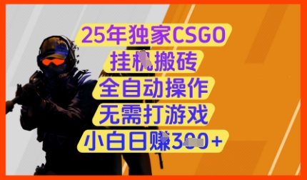 25年独家CSGO挂G搬砖，全自动操作，无需打游戏，小白日入3张+【揭秘】-清风