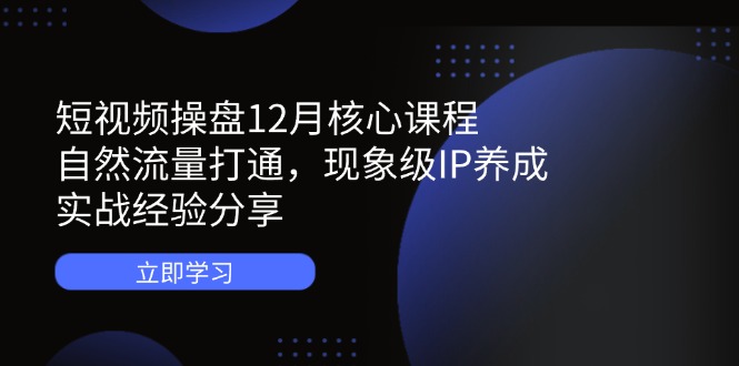 短视频操盘12月核心课程：自然流量打通，现象级IP养成，实战经验分享-清风