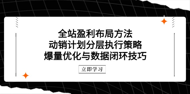 全站盈利布局方法：动销计划分层执行策略，爆量优化与数据闭环技巧-清风