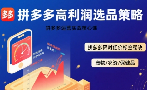 拼多多选品暴利技术实战课，拼多多高利润选品策略，拼多多限时低价标签秘诀-清风