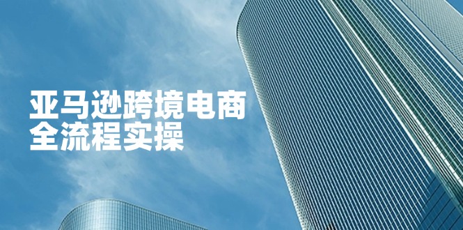 亚马逊跨境电商全流程实操，教你从零开始，掌握店铺运营与广告技巧-清风