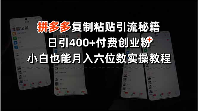 拼多多复制粘贴引流秘籍，日引400+付费创业粉，小白也能月入六位数实操…-清风