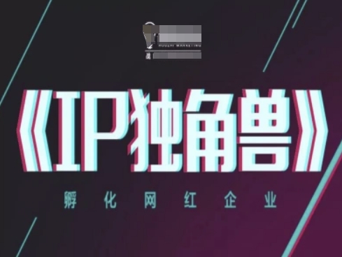 IP独角兽，孵化网红企业，ip教程-清风