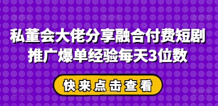 私董会大佬分享融合付费短剧推广爆单经验每天3位数-清风