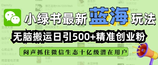 小绿书无脑搬运引流，全自动日引500精准创业粉，微信生态内又一个闷声发财的机会-清风