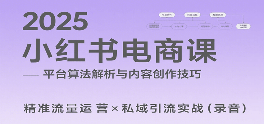 2025小红书电商课：解析算法，创作高转化内容，助力卖家获取流量实现变现(录音)-清风