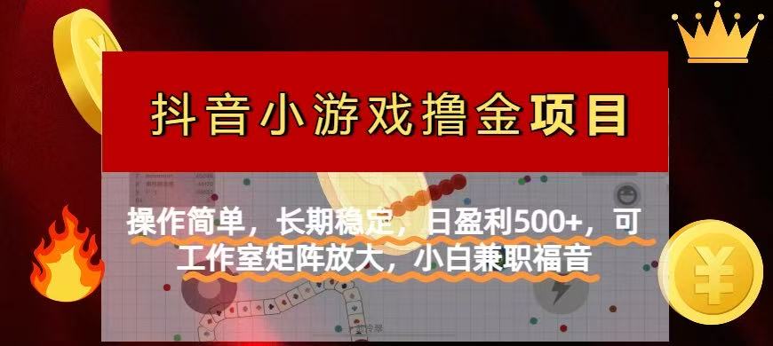 【抖音小游戏发行人计划项目】操作简单，长期稳定，日盈利500+，可工作…-清风