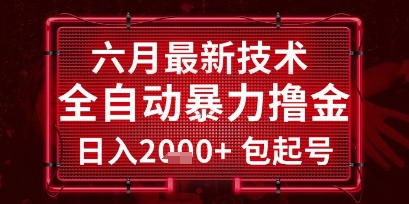 六月最新技术全自动暴力撸金，稳定日入2k+包起号，长期稳定【揭秘】-清风