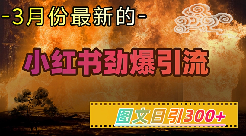 小红书超劲爆引流手段，图文日引300+轻松变现1W-清风