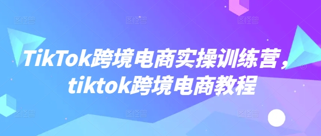 TikTok跨境电商实操训练营，tiktok跨境电商教程-清风