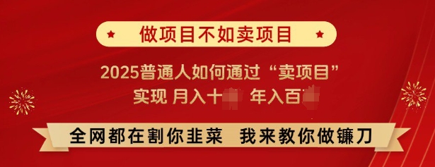 必看，做项目不如卖项目，2025普通人如何通过“卖项目”实现月入十个，年入百个-清风