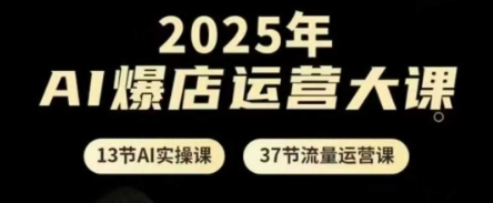 2025年AI爆店运营大课，13节AI实操课+37节流量运营课-清风