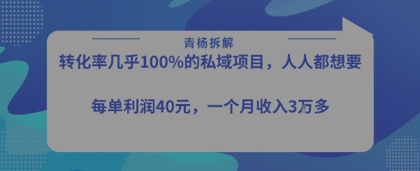 转化率最高的私域项目，每单利润40-50米，月入过1w-清风