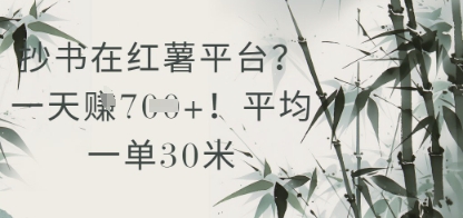 抄书在小红薯平台？平均一单30米，一天收益几张！-清风