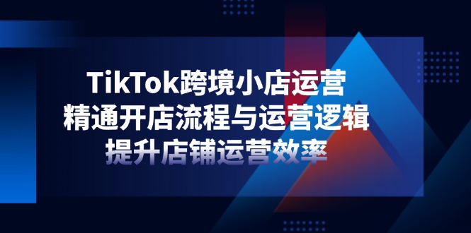 TikTok跨境小店运营，精通开店流程与运营逻辑，提升店铺运营效率-清风
