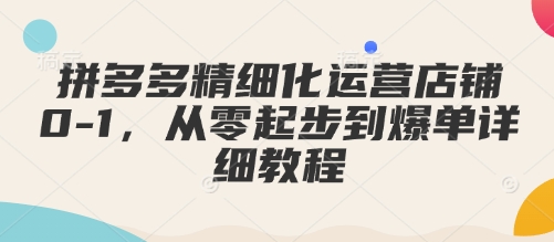 拼多多精细化运营店铺0-1，从零起步到爆单详细教程-清风