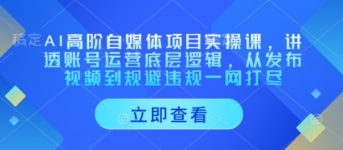 AI高阶自媒体项目实操课，讲透账号运营底层逻辑，从发布视频到规避违规一网打尽-清风