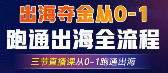 2025出海夺金从0-1跑通出海全流程，三节直播课从0-1跑通出海，教你用AI跑通全流程-清风