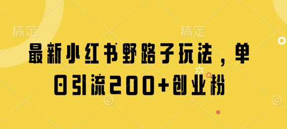 最新小红书野路子玩法，单日引流200+创业粉-清风