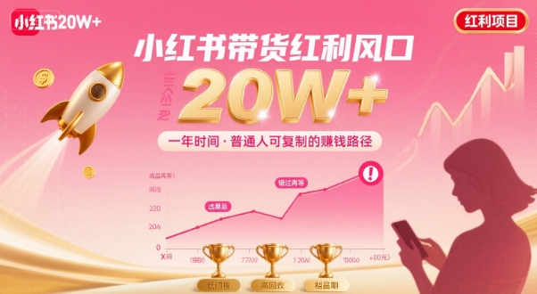 一年时间靠小红书带货项目年入20w+，最不能错的大红利项目-清风