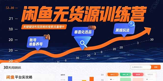 闲鱼无货源训练营：账号准备养号/垂直化选品/黑搜玩法，0基础30天盈利指南-清风