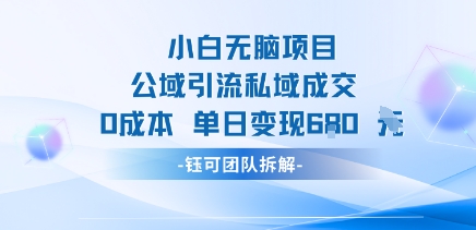 小白无脑项目公域引流私域成交0成本单日变现680米-清风