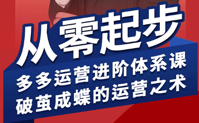 海神·拼多多运营进阶系统课(更新8月)-清风