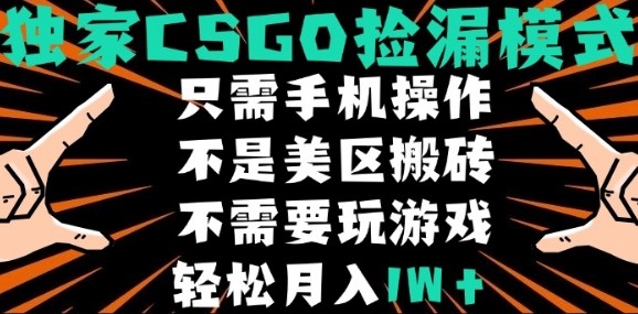 CSGO自动捡漏项目，最新独家玩法，不是美区搬砖，不需要了解和玩游戏，新手小白轻松月入1W+【揭秘】-清风