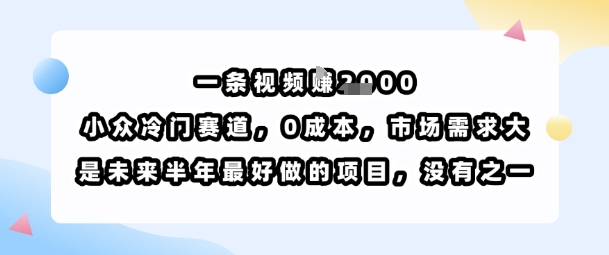 一条视频挣1k，小众冷门赛道，0成本，市场需求大，是未来半年最好做的项目，没有之一-清风
