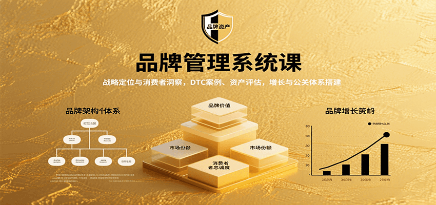 品牌管理系统课：战略定位与消费者洞察，DTC案例、资产评估，增长与公关体系搭建-清风